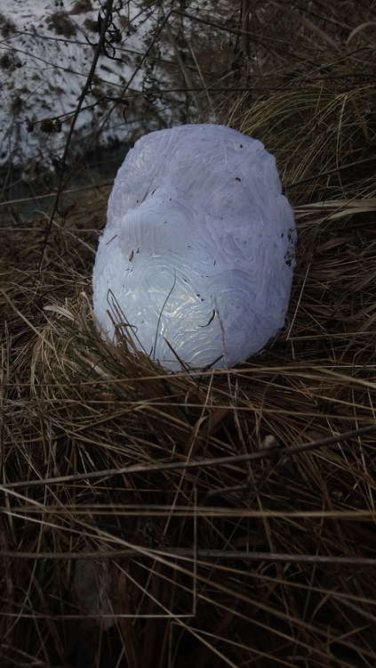 I-nature